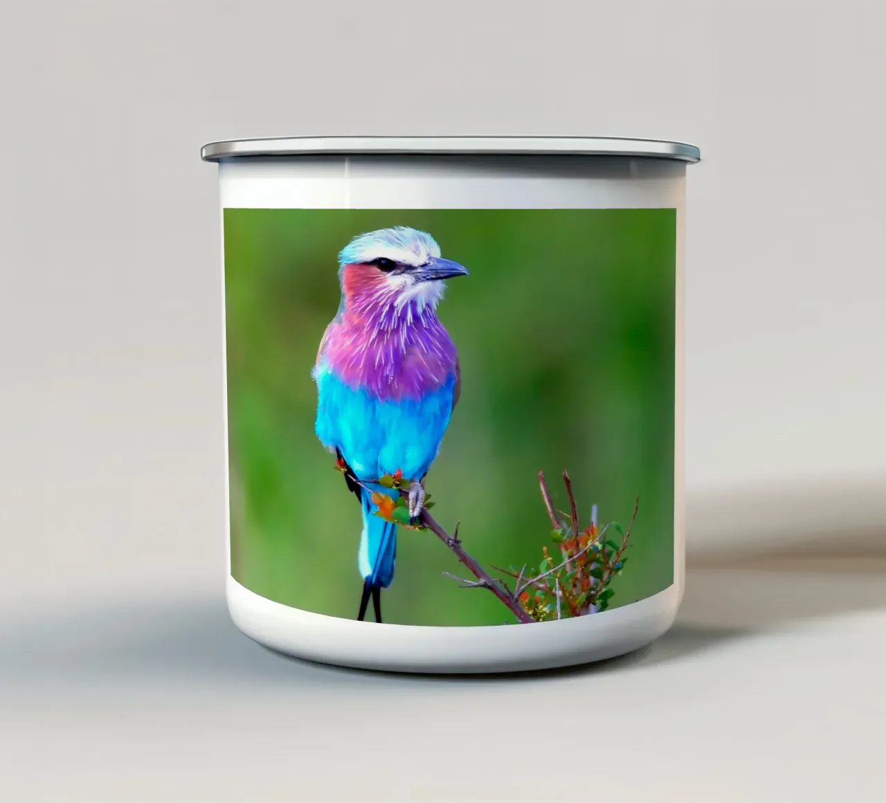 Poster animali 10 tazza in smalto da Korrie Lane