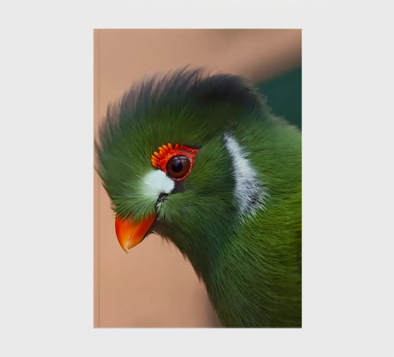 Tierposter 23 Notizbuch von Korrie Lane