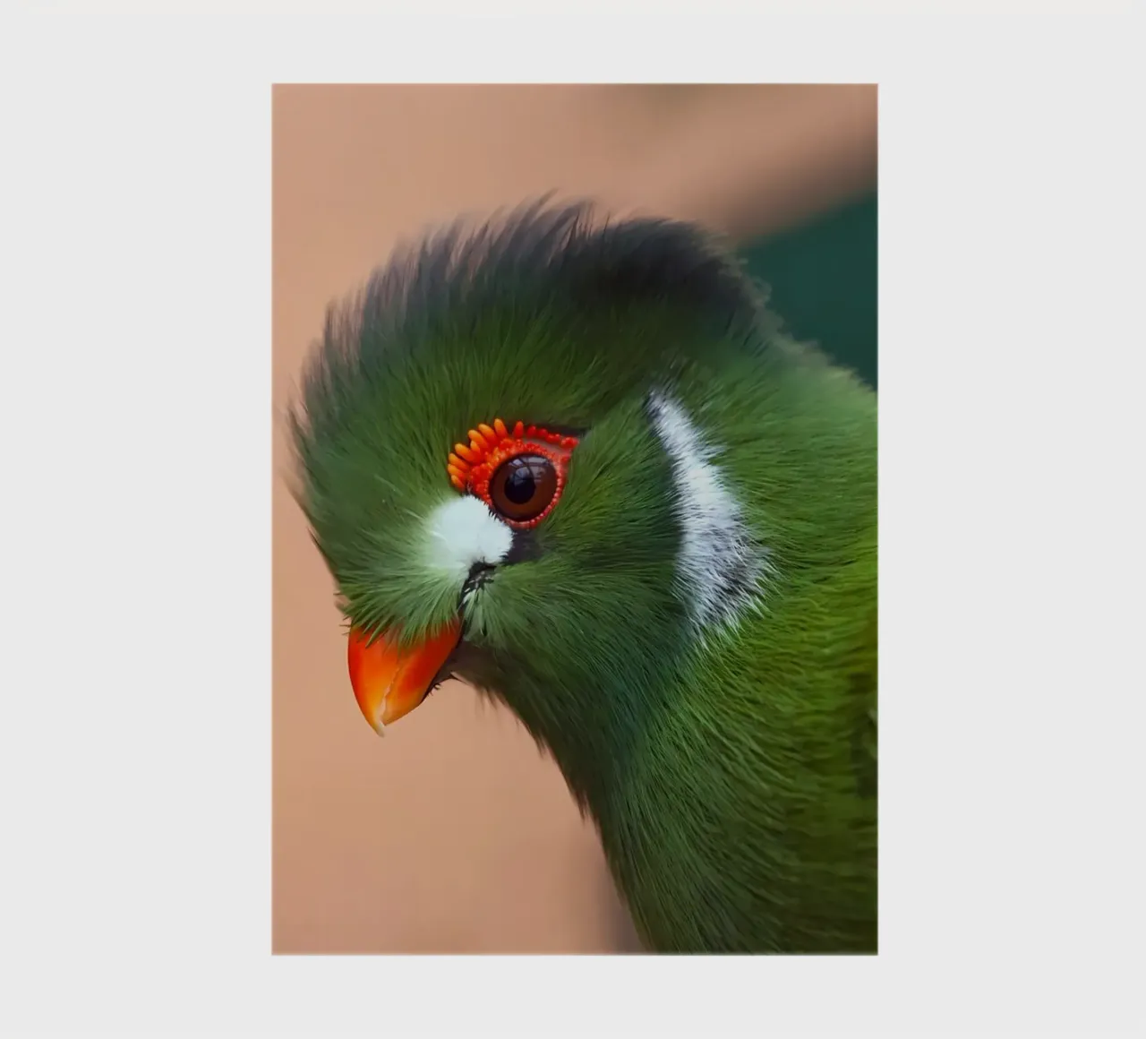 Tierposter 23 Notizbuch von Korrie Lane