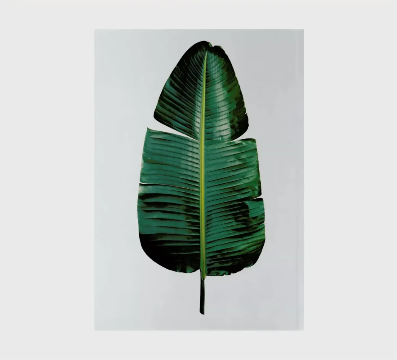 Classic Botanical Leaves 09 notebook by Shot By Clint