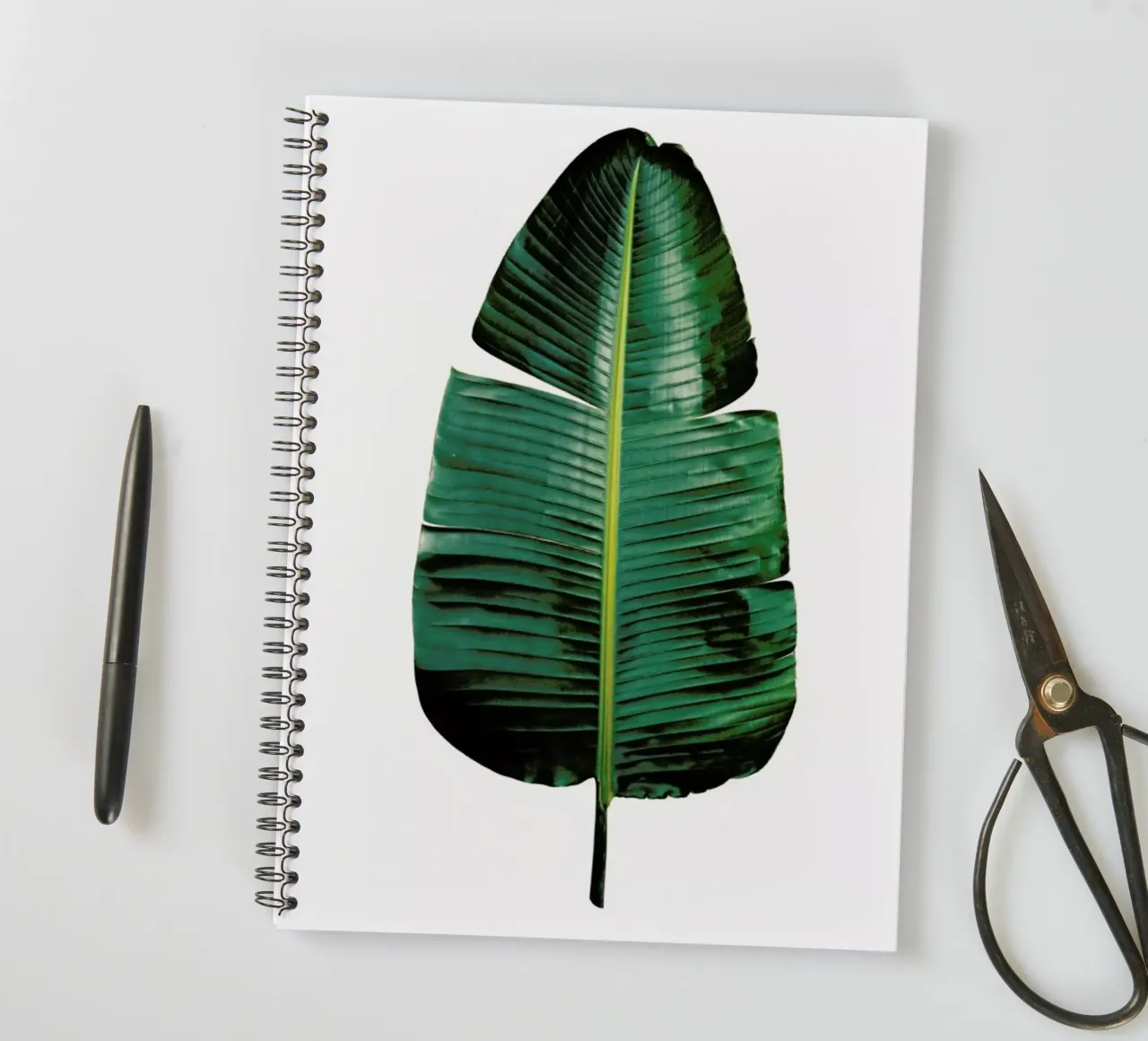 Classic Botanical Leaves 09 spiral notebook by Shot By Clint
