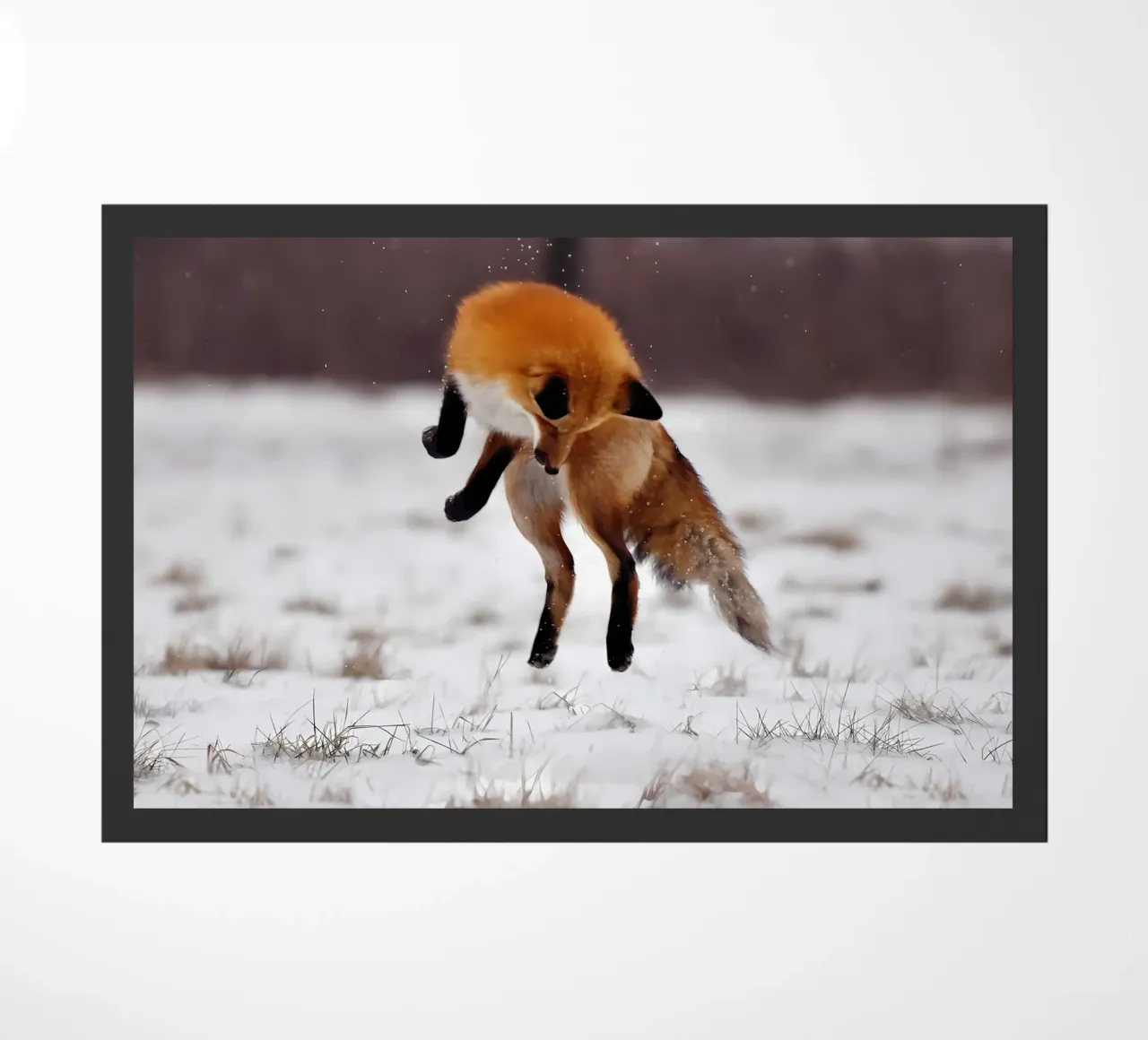 Dierenposter 26 deurmat van Korrie Lane