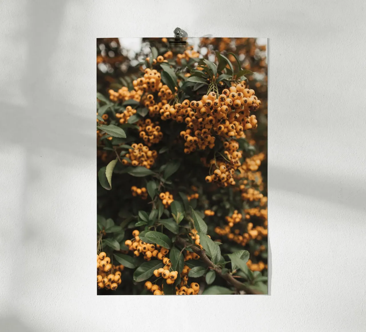 Douceur automnale poster de PhotoVibe Decor