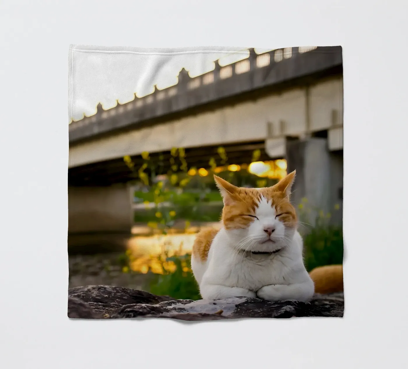 Dierenposter 34 fleecedeken van Korrie Lane