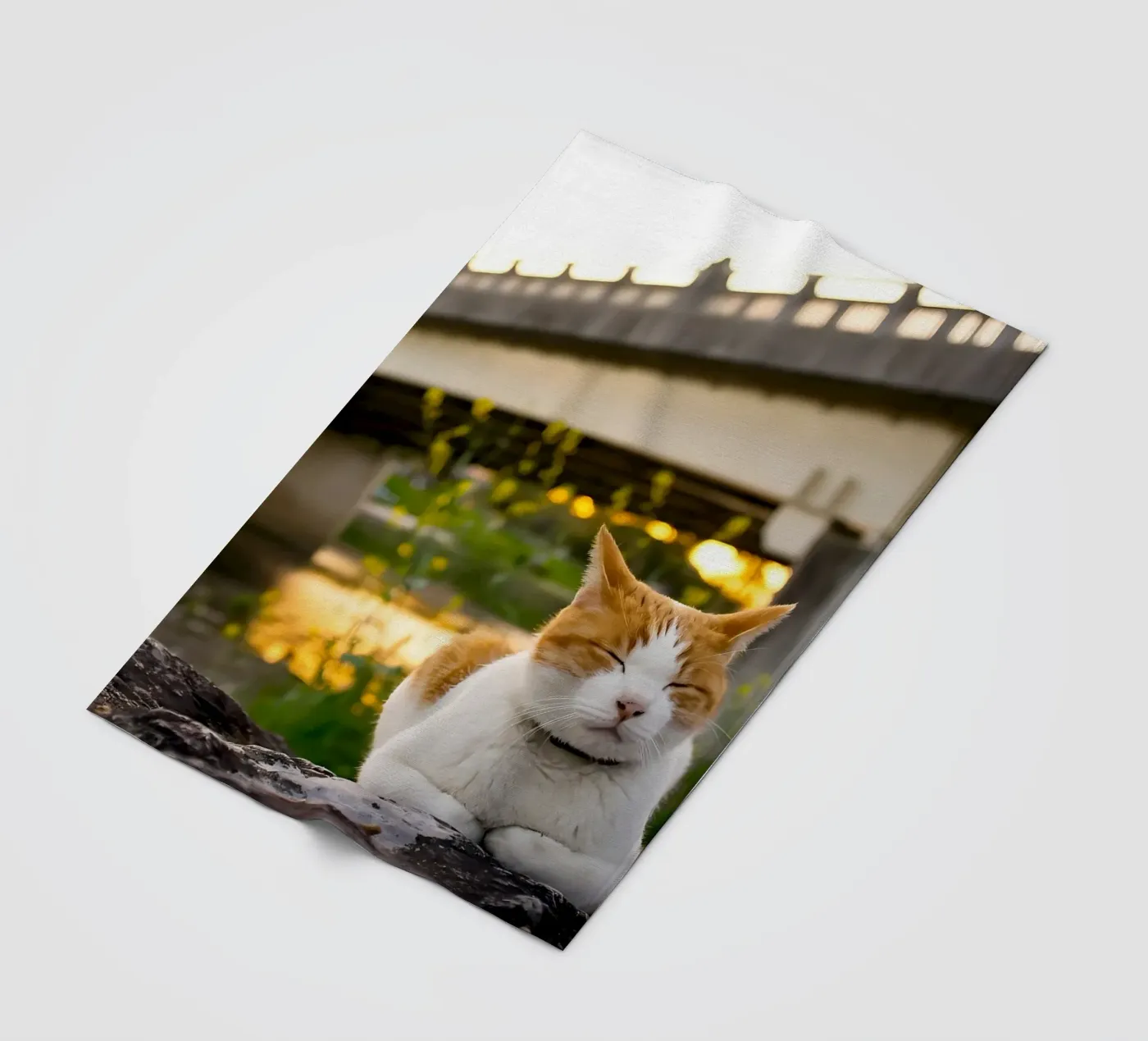 Dierenposter 34 fleecedeken van Korrie Lane