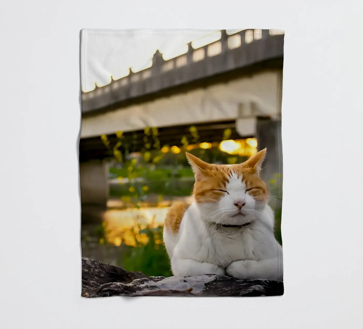 Dierenposter 34 fleecedeken van Korrie Lane