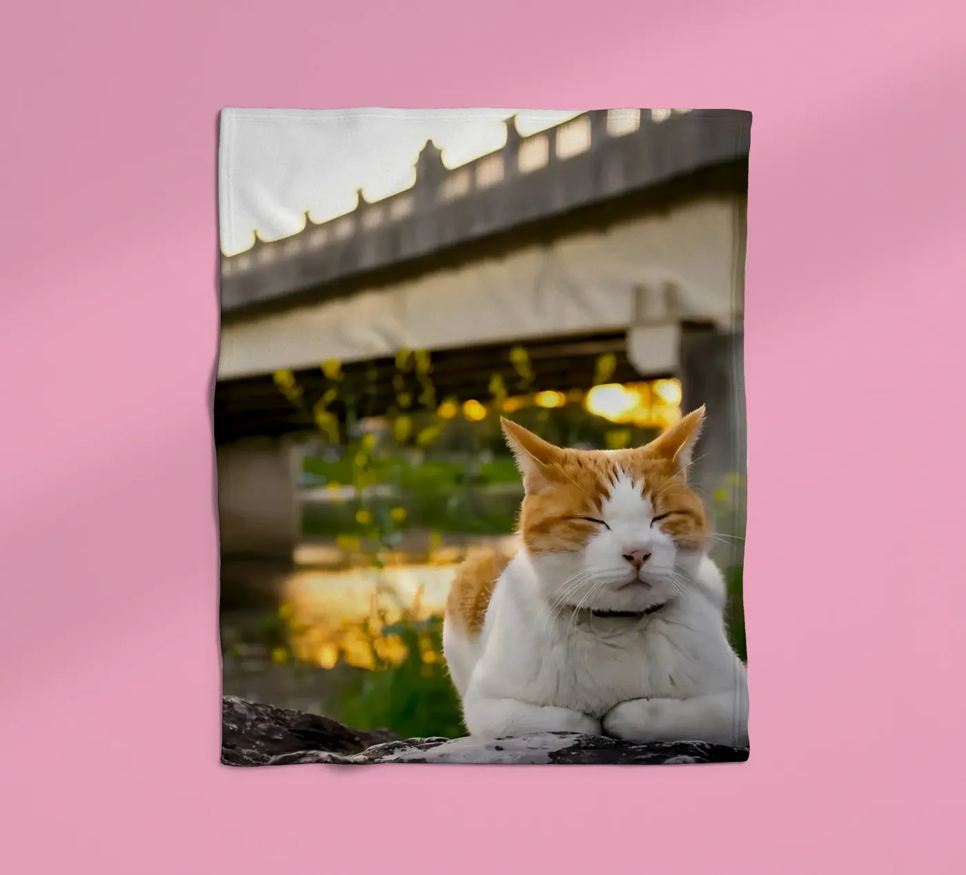 Dierenposter 34 fleecedeken van Korrie Lane