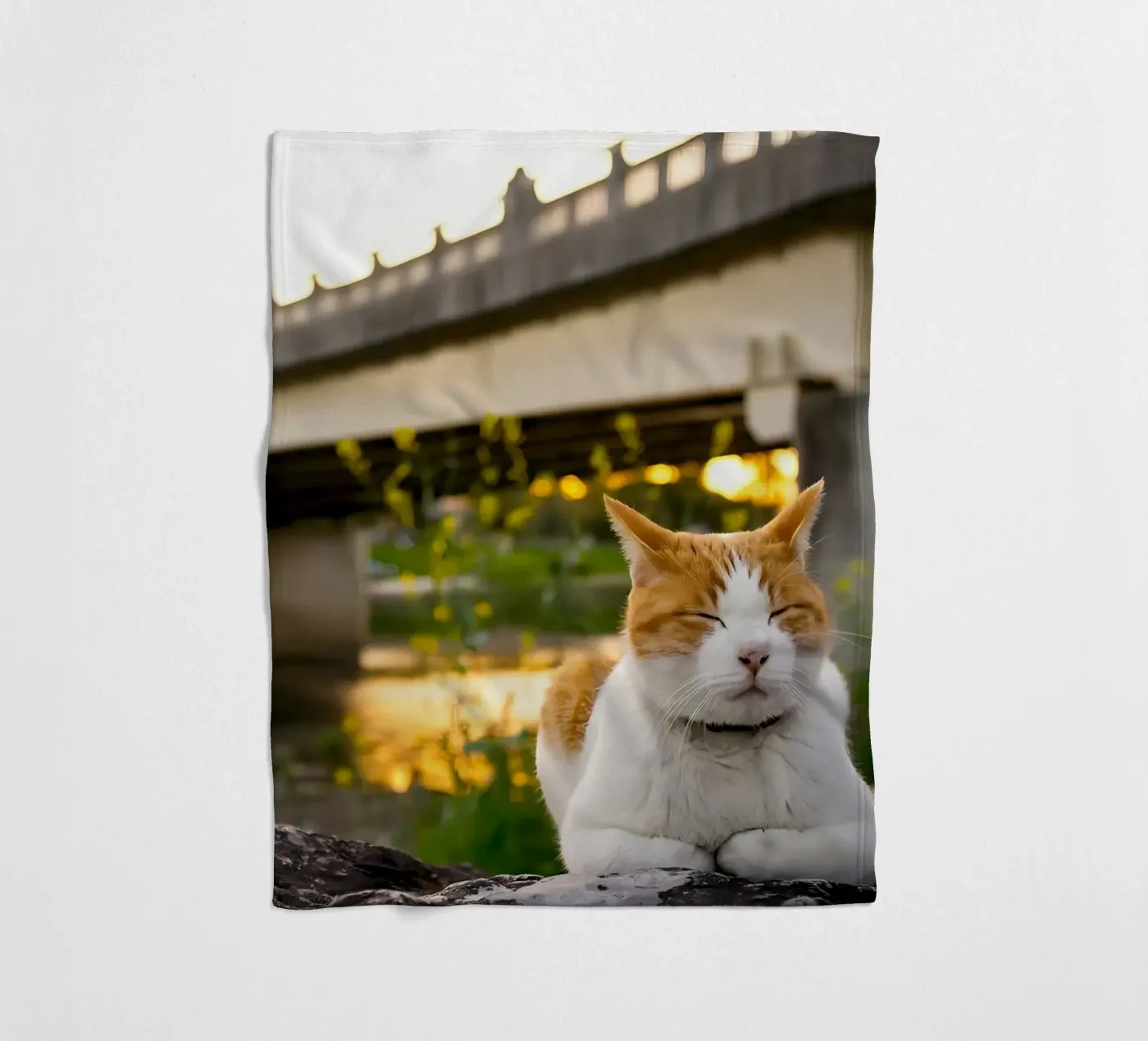 Dierenposter 34 fleecedeken van Korrie Lane