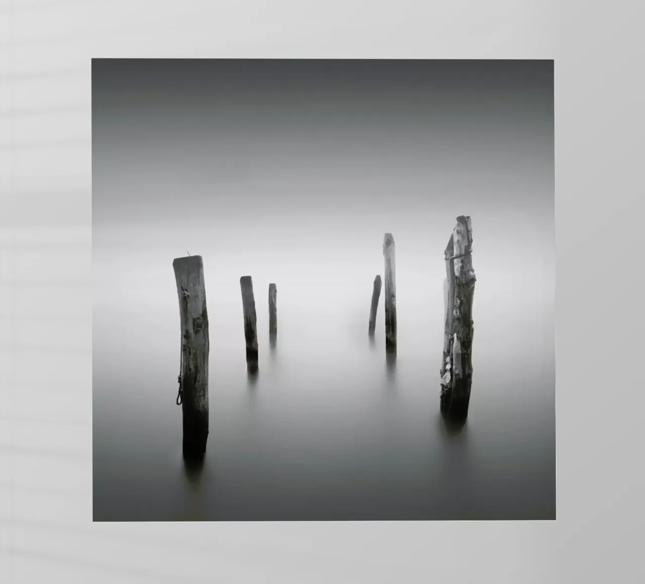 Nebbia Posta lámina retroiluminada de Michael J. Reibert