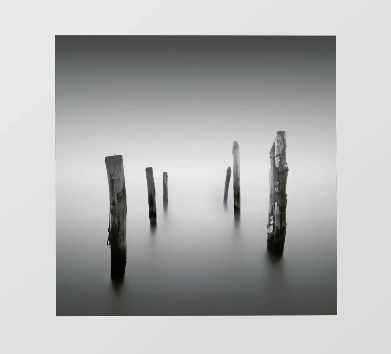 Nebbia Posta lámina retroiluminada de Michael J. Reibert