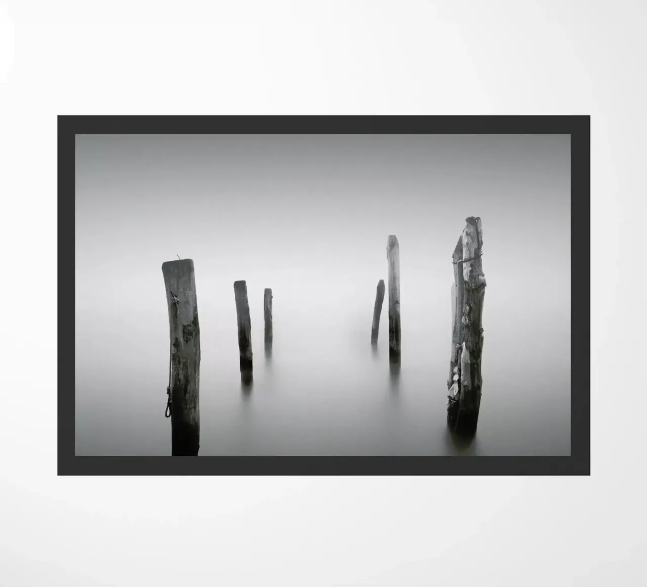 Nebbia Posta zerbino da Michael J. Reibert