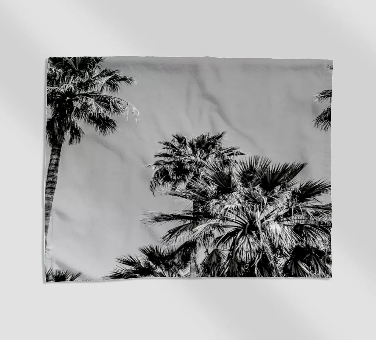 Sabal Palmetto I telo mare da Victoria Frost