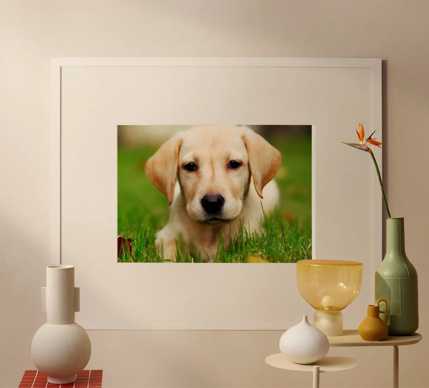 Dierenposter 64 poster van Korrie Lane