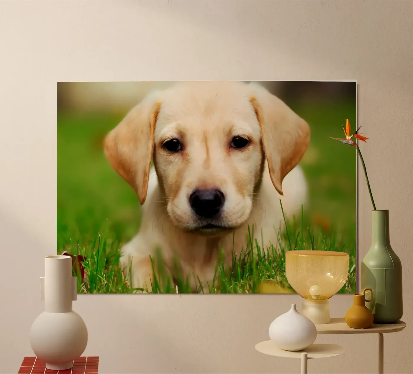 Dierenposter 64 poster van Korrie Lane