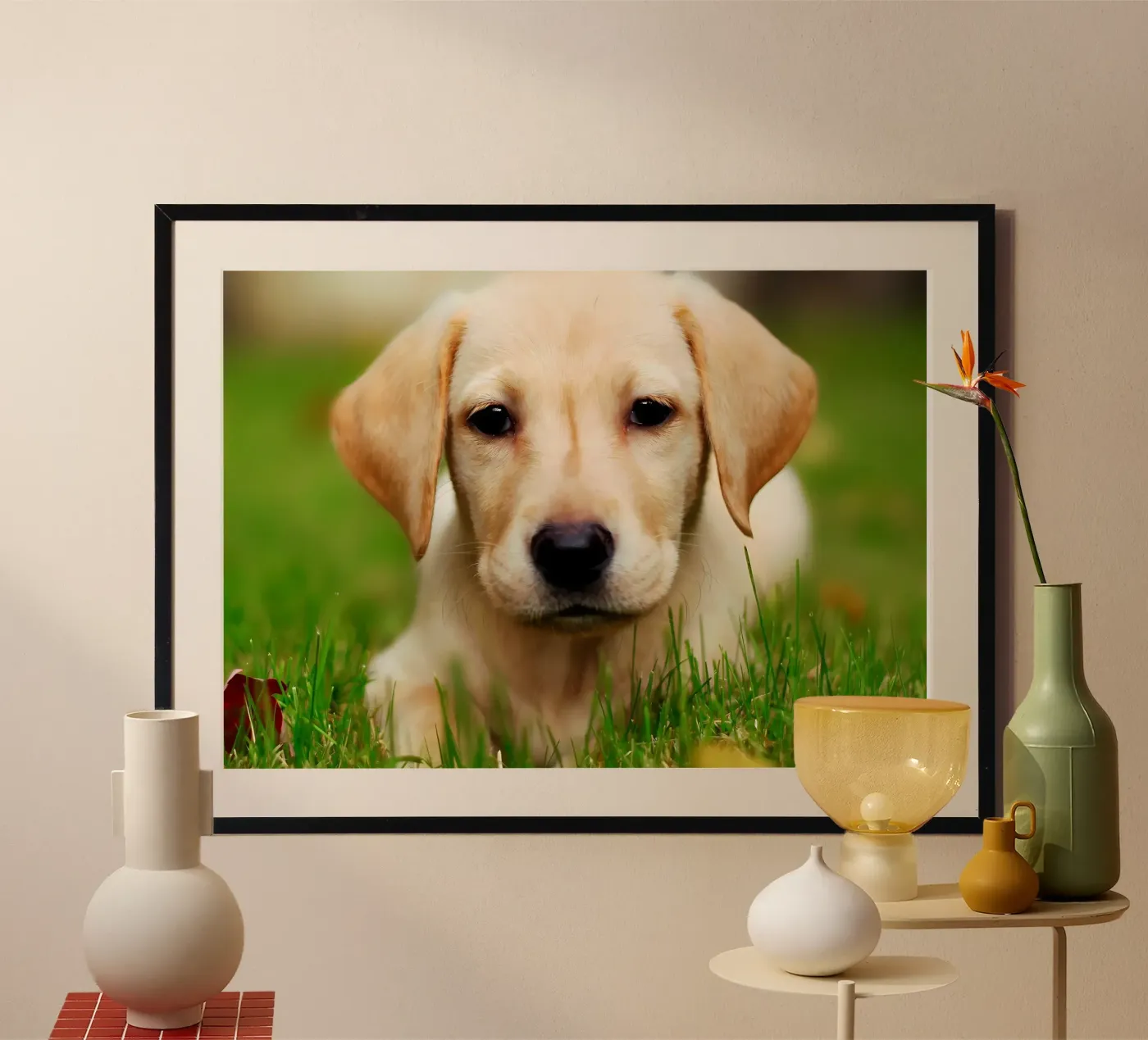 Dierenposter 64 poster van Korrie Lane