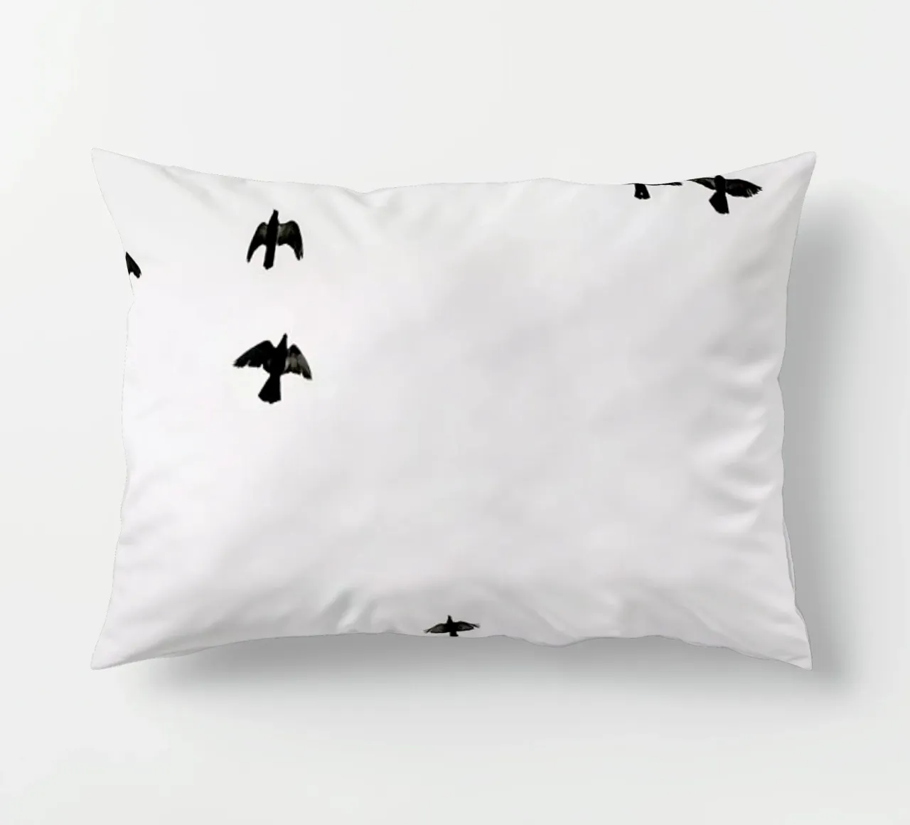 Flight & Freedom 04 cuscino da Shot By Clint