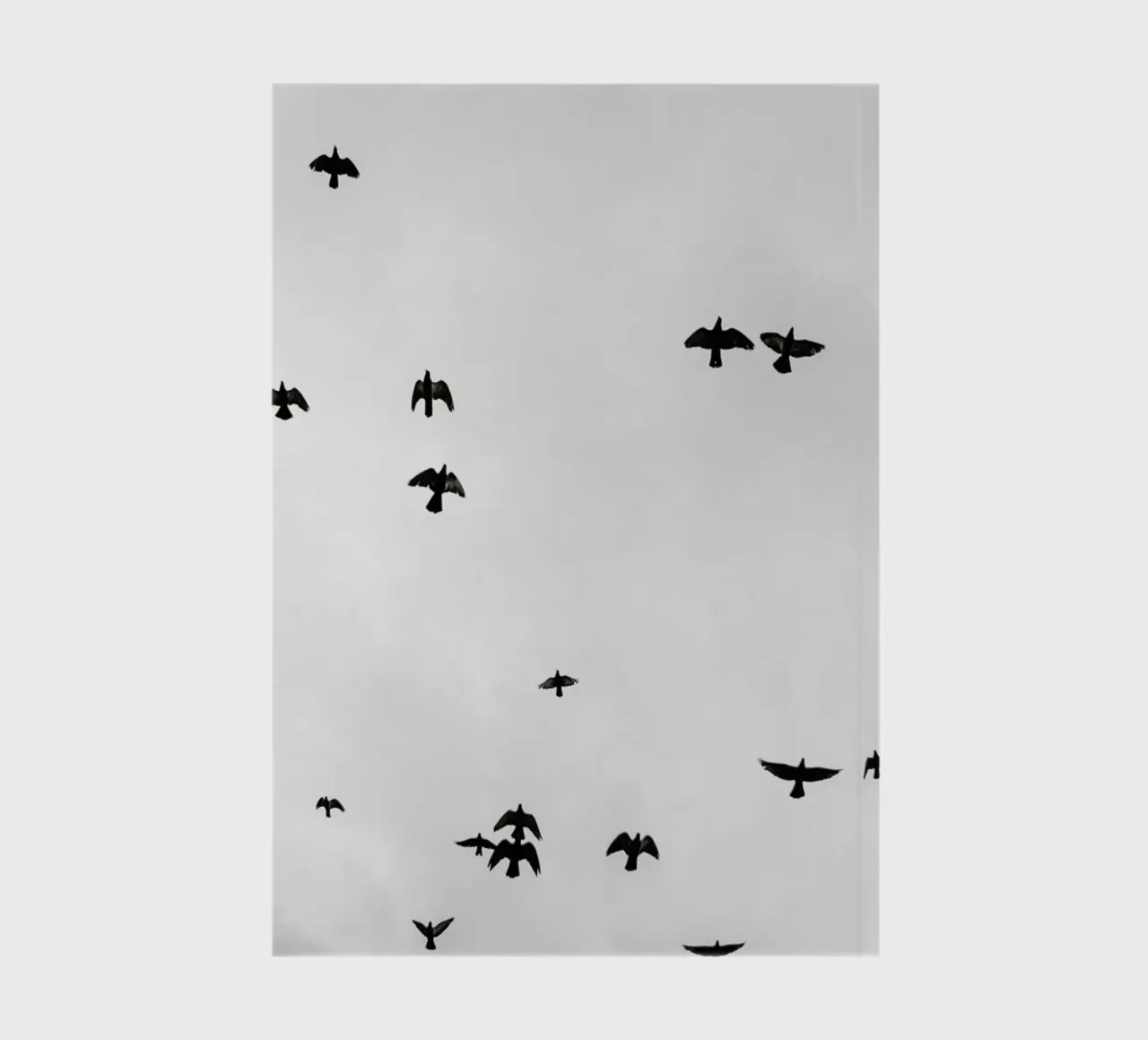 Flight & Freedom 04 notebook by Shot By Clint