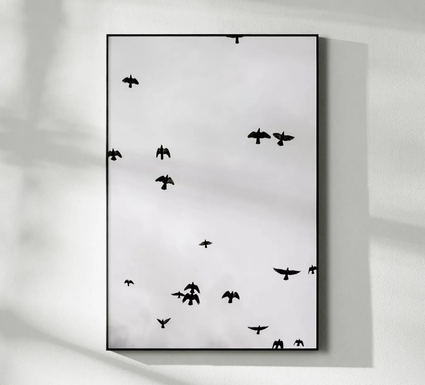 Flight & Freedom 04 plexiglass da Shot By Clint