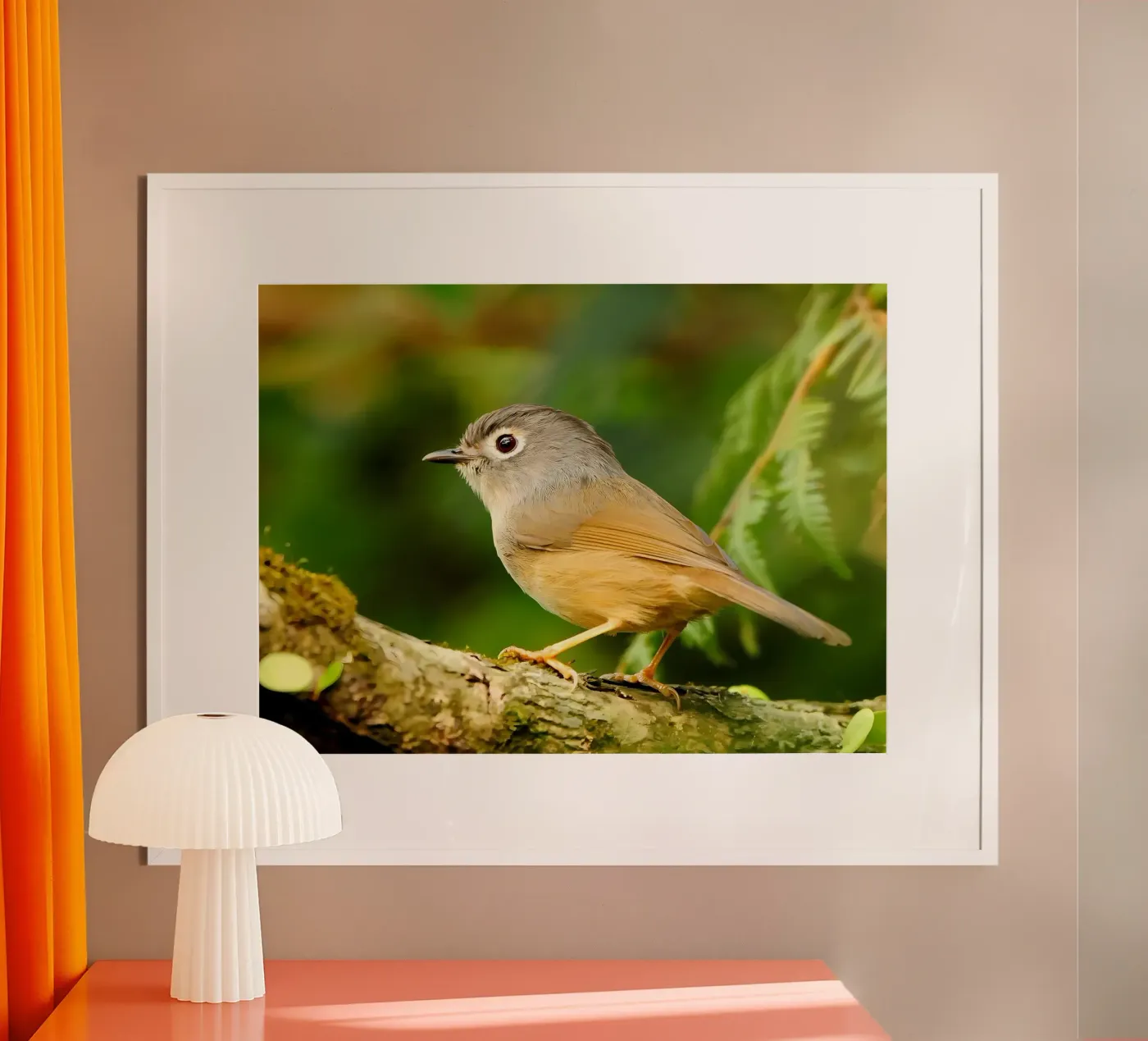 Dierenposter 69 poster van Korrie Lane