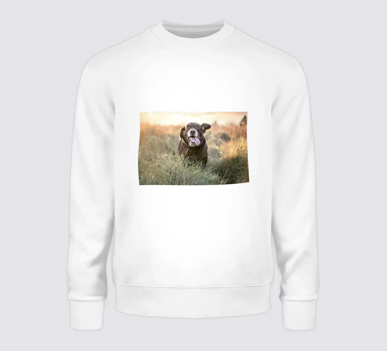 Animal poster 71 sweatshirt by Korrie Lane