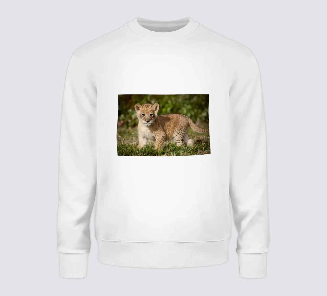 Dierenposter 72 sweatshirt van Korrie Lane