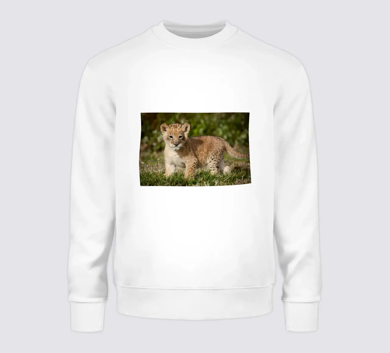 Dierenposter 72 sweatshirt van Korrie Lane