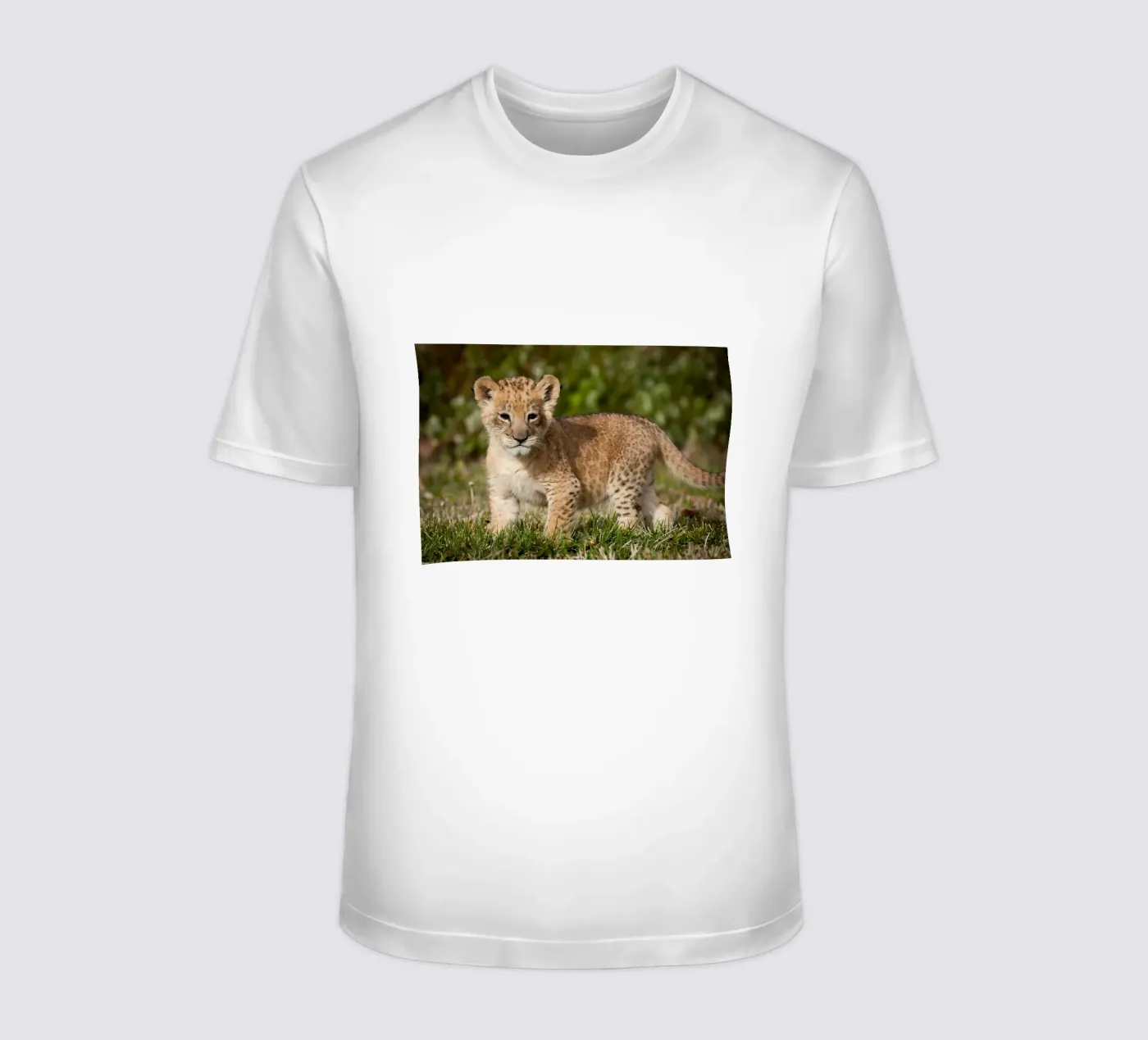 Dierenposter 72 t-shirt van Korrie Lane