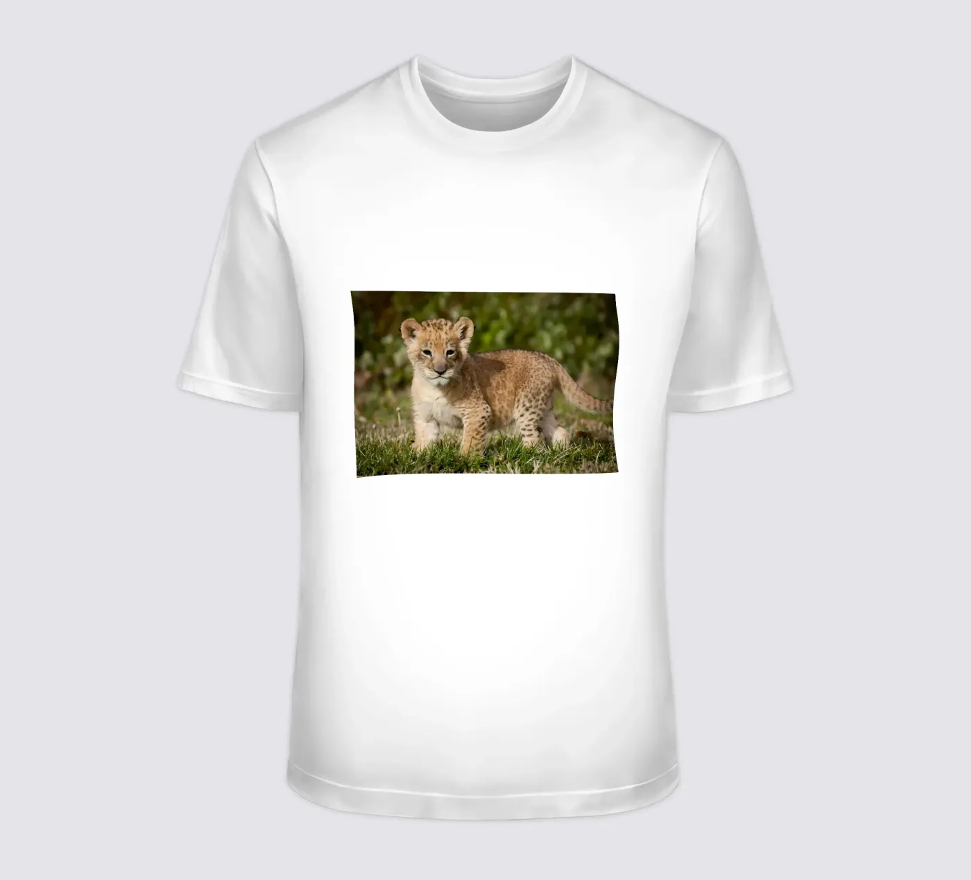 Dierenposter 72 t-shirt van Korrie Lane
