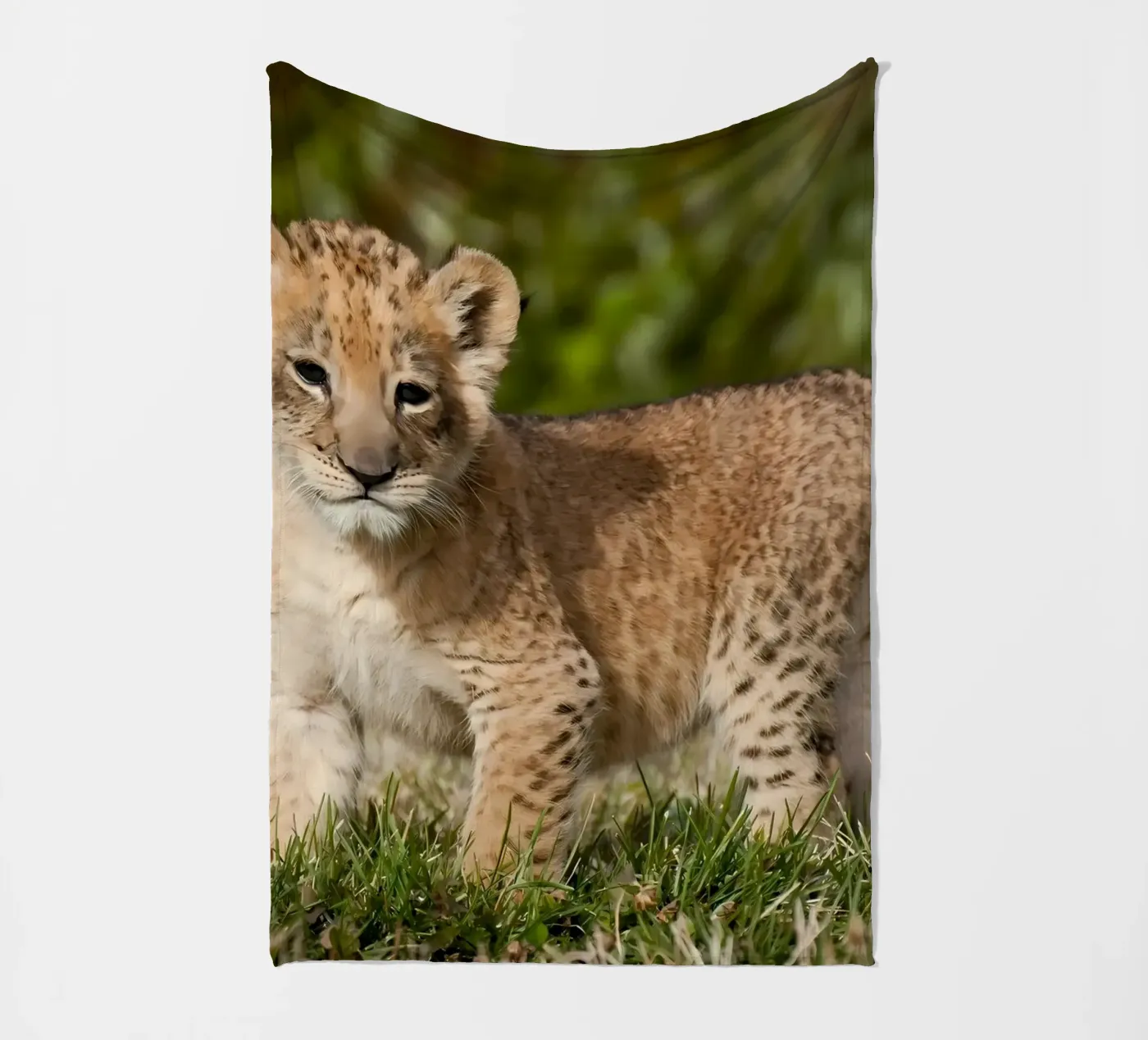 Dierenposter 72 fleecedeken van Korrie Lane