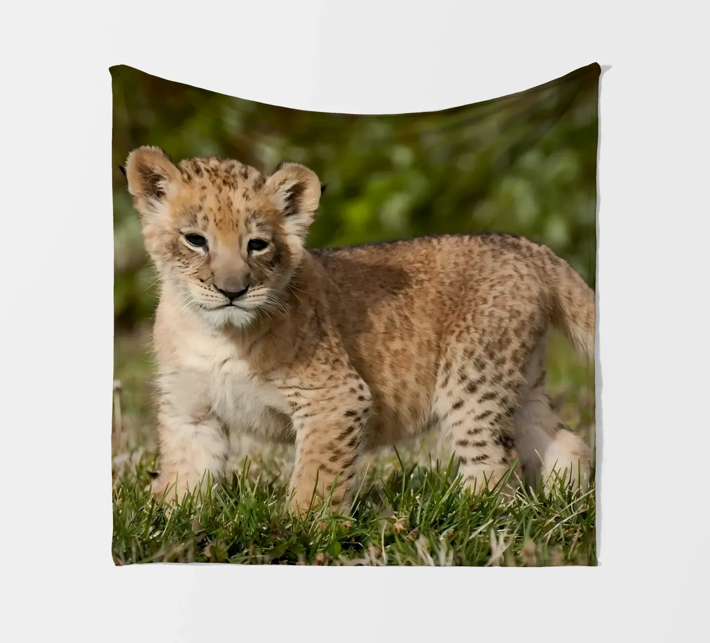 Dierenposter 72 fleecedeken van Korrie Lane