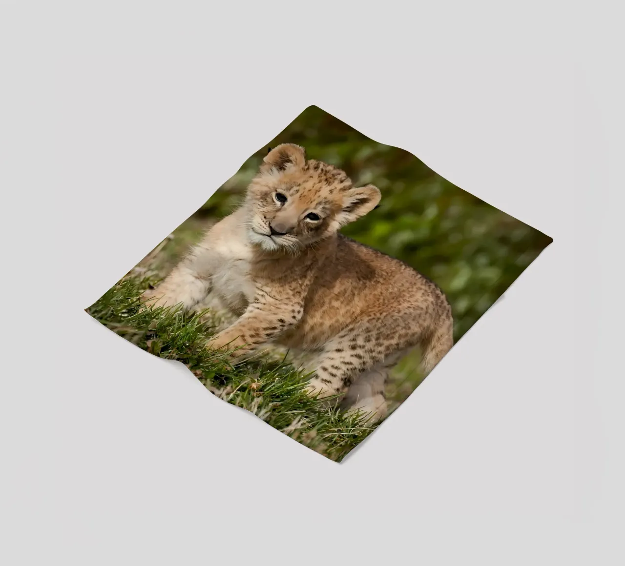 Dierenposter 72 fleecedeken van Korrie Lane