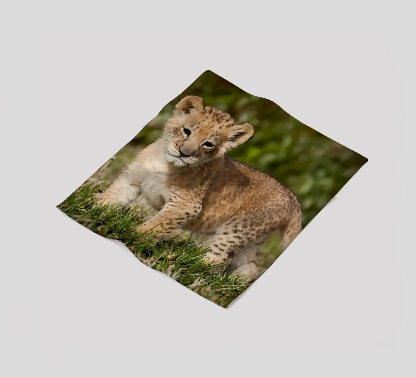 Dierenposter 72 fleecedeken van Korrie Lane