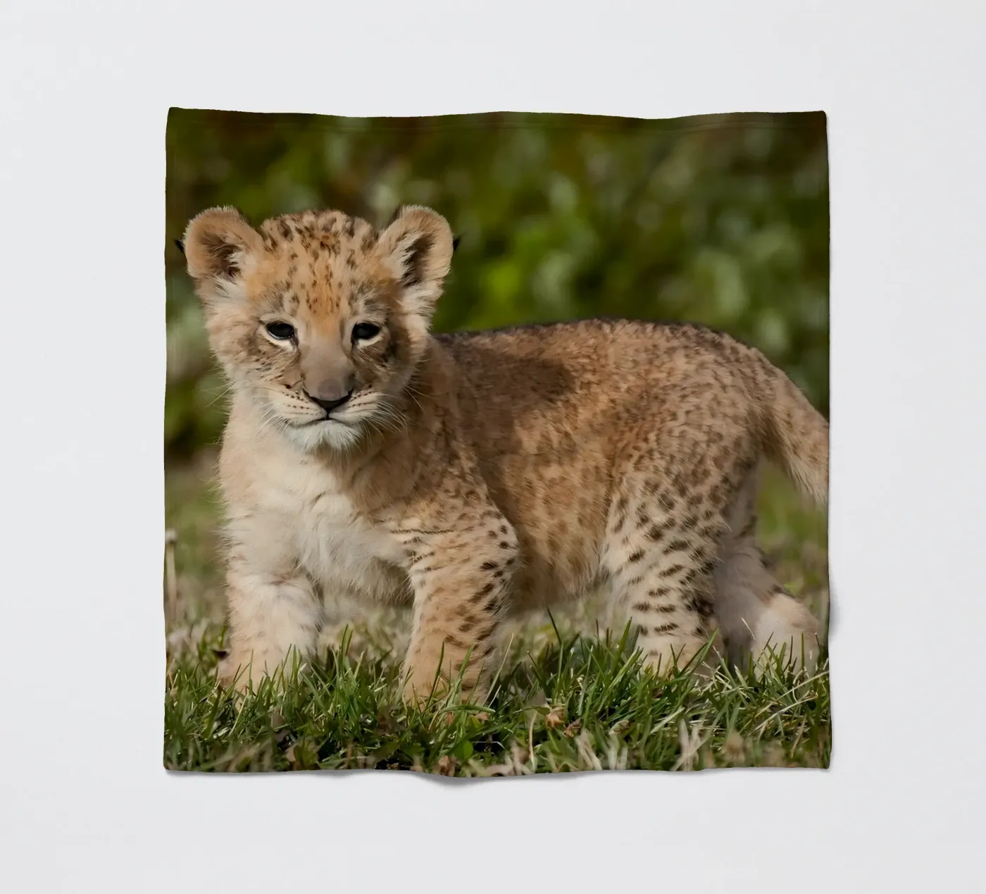 Dierenposter 72 fleecedeken van Korrie Lane