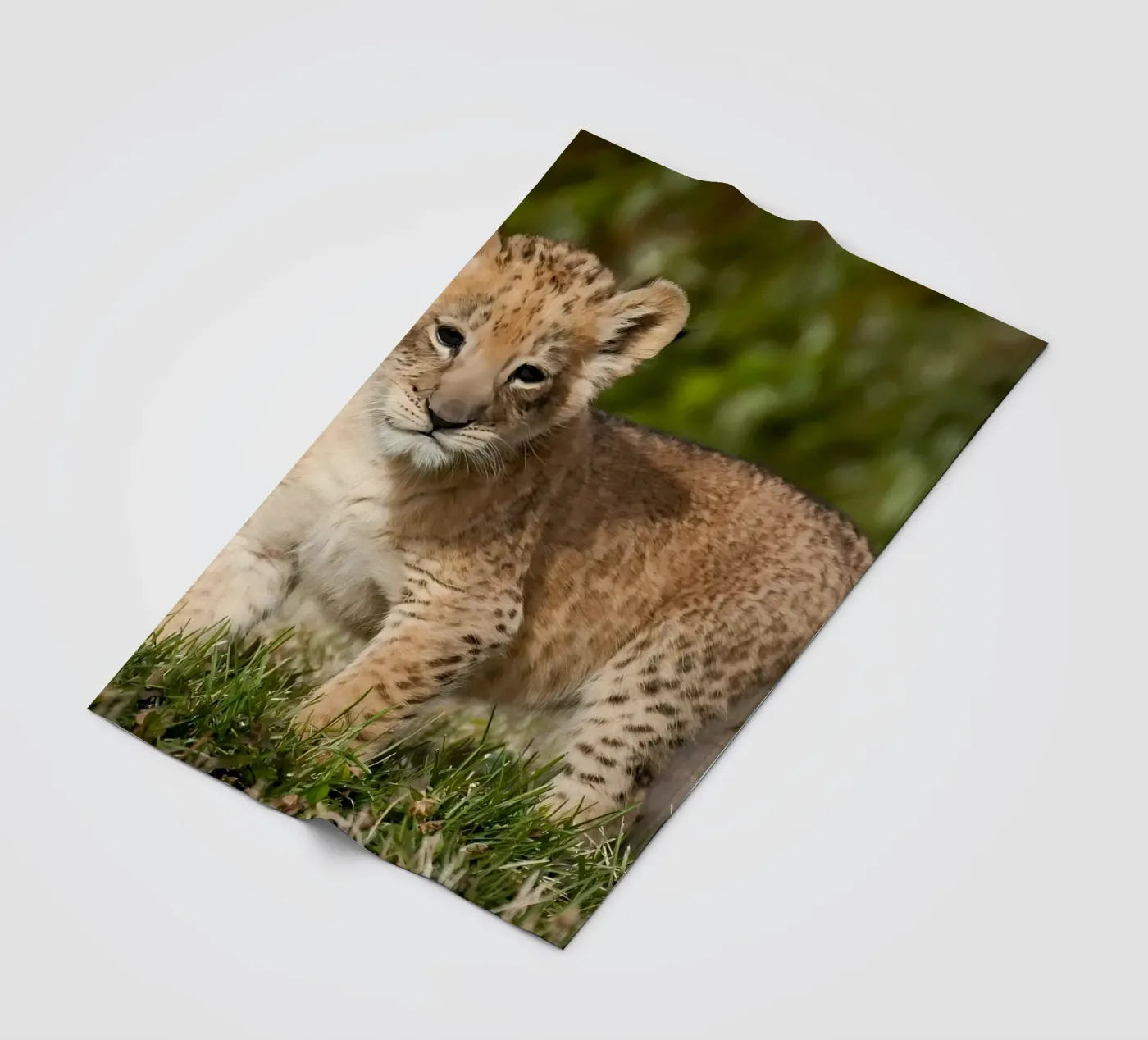 Animal poster 72 fleecedeken van Korrie Lane