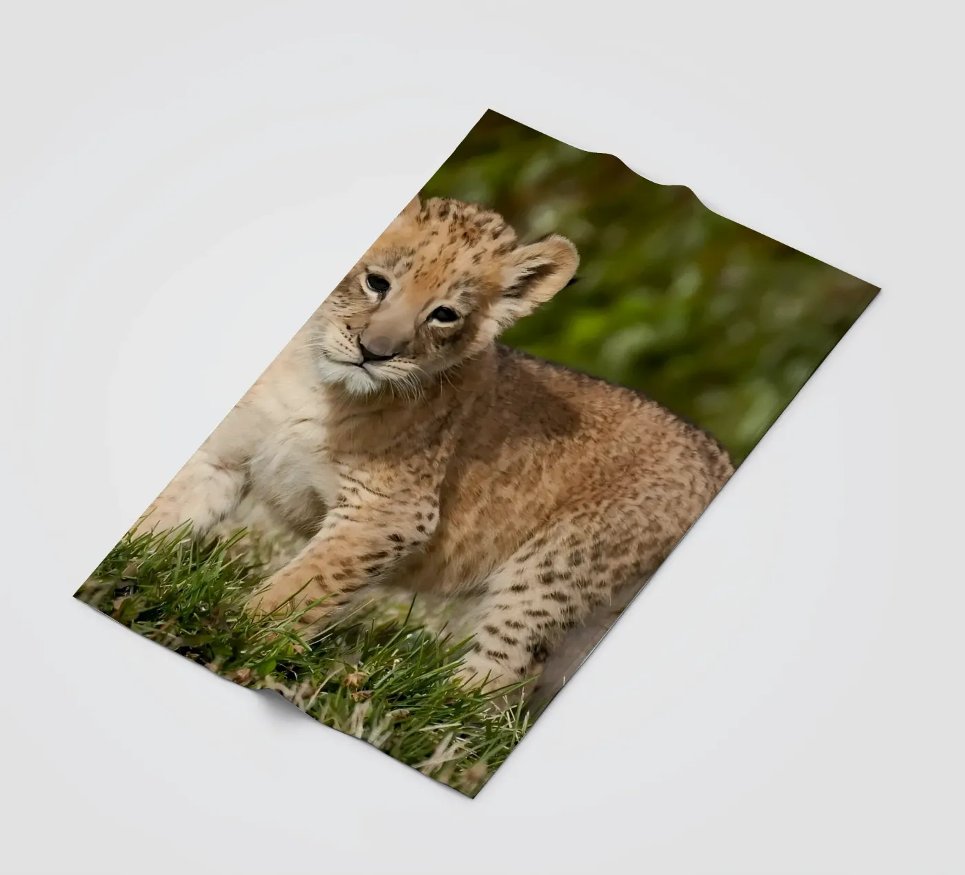 Dierenposter 72 fleecedeken van Korrie Lane