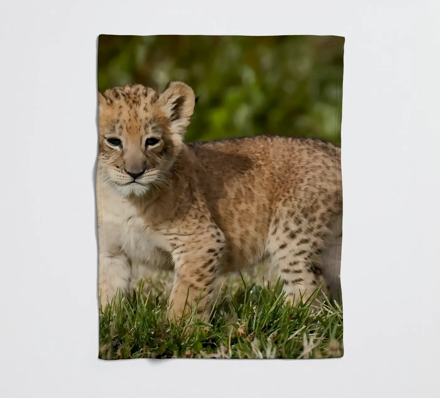 Animal poster 72 fleecedeken van Korrie Lane