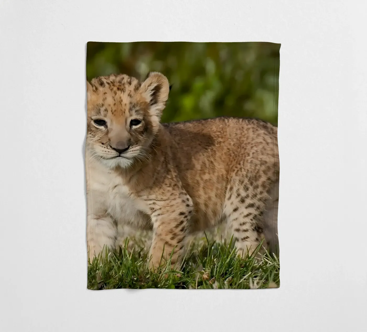Animal poster 72 fleecedeken van Korrie Lane