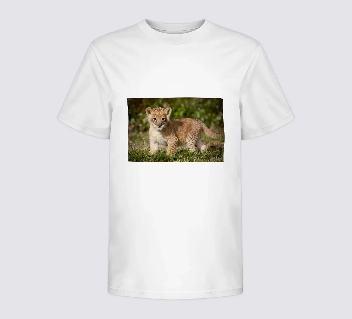Animal poster 72 kinder t-shirt van Korrie Lane