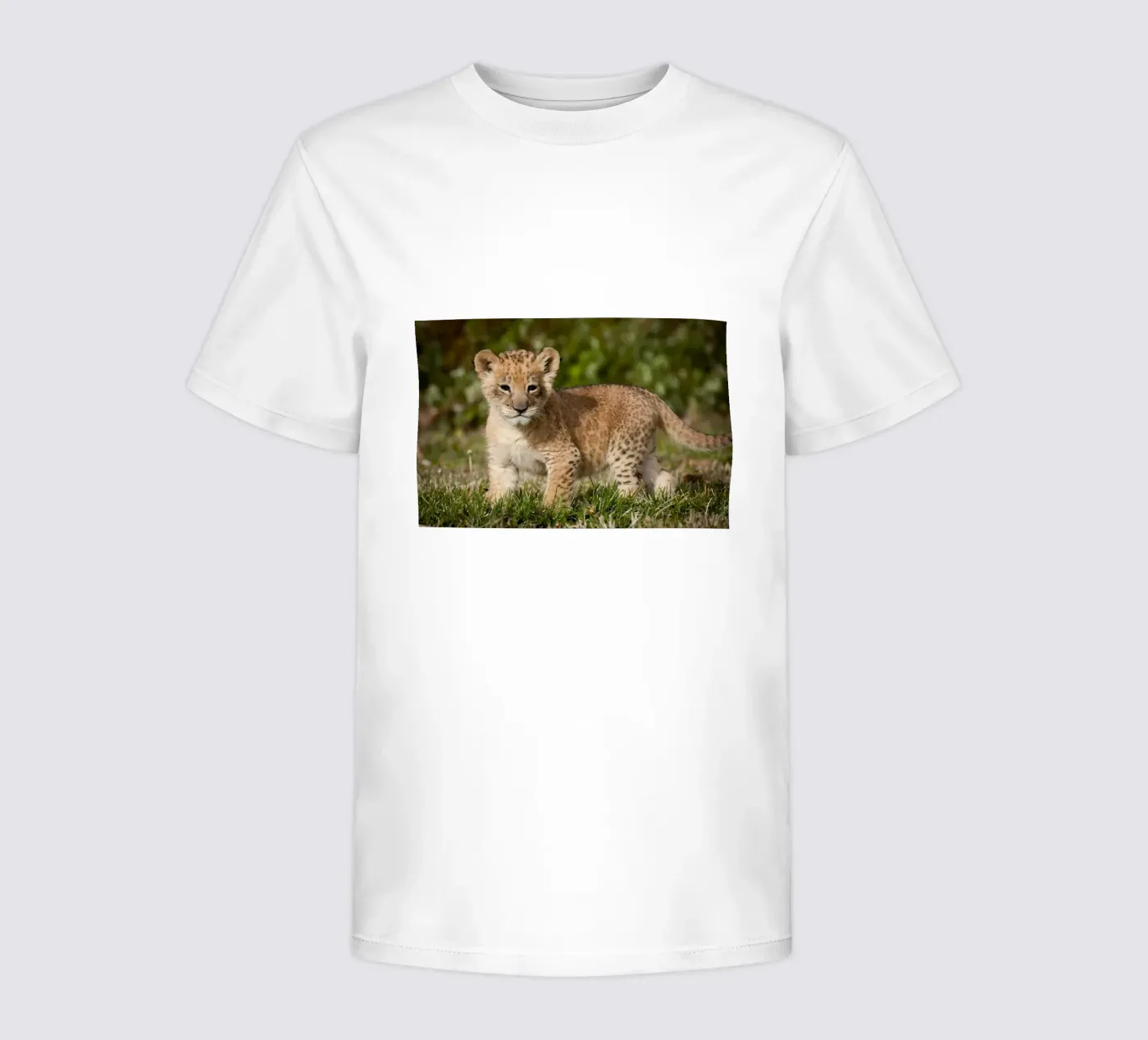 Animal poster 72 kinder t-shirt van Korrie Lane