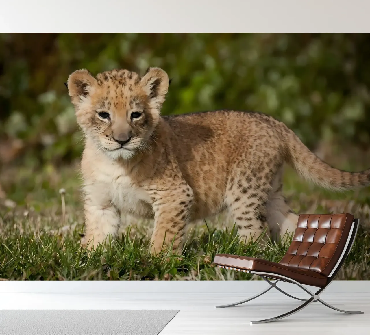 Dierenposter 72 fotobehang van Korrie Lane