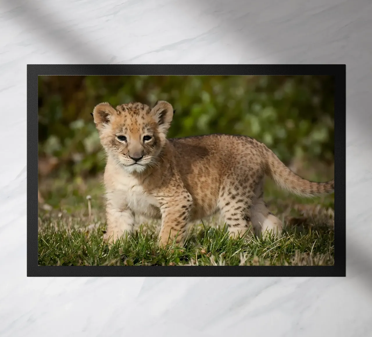 Tierposter 72 Fußmatte von Korrie Lane