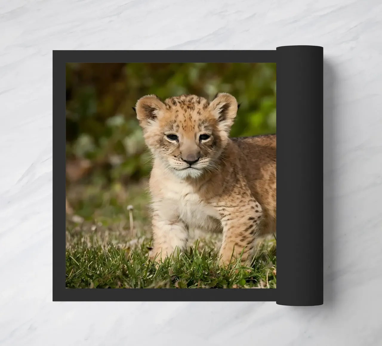 Tierposter 72 Fußmatte von Korrie Lane