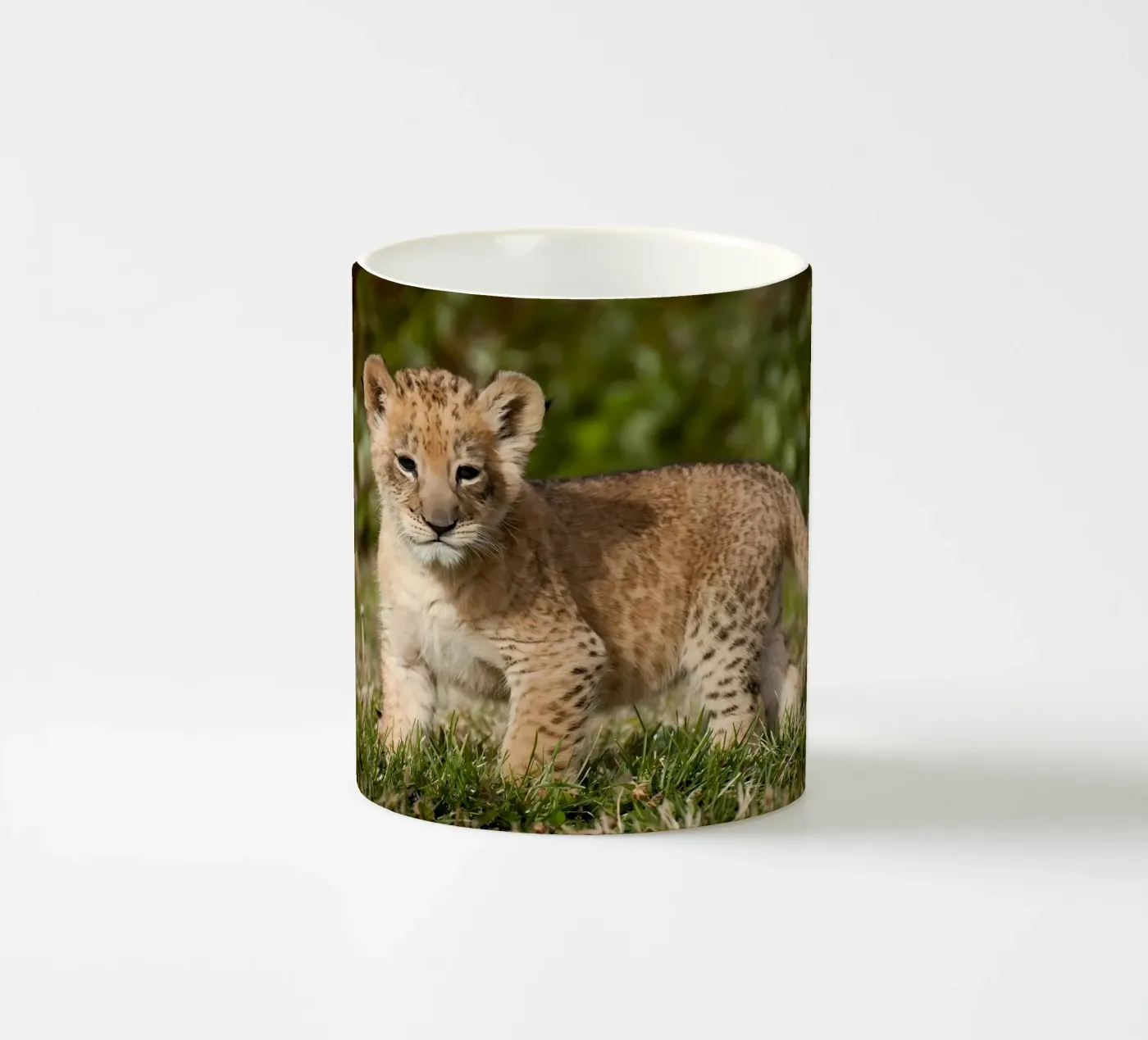 Animal poster 72 ceramic mug by Korrie Lane