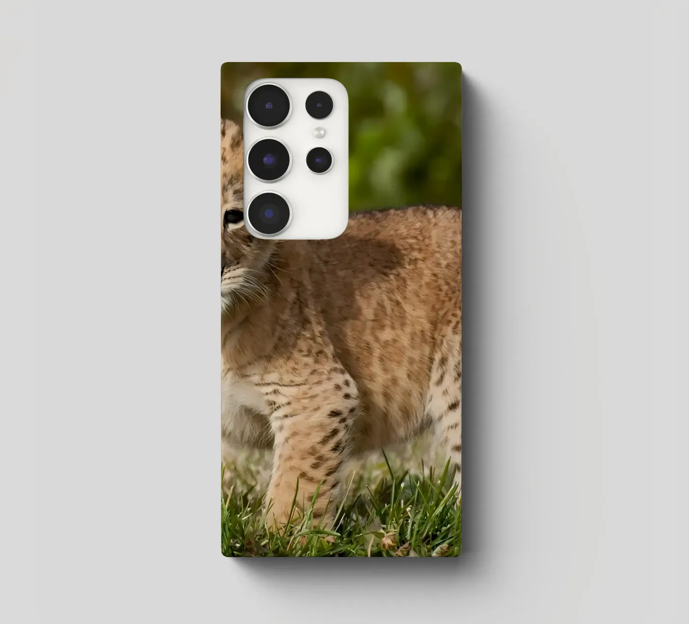 Tierposter 72 Samsung Hülle von Korrie Lane