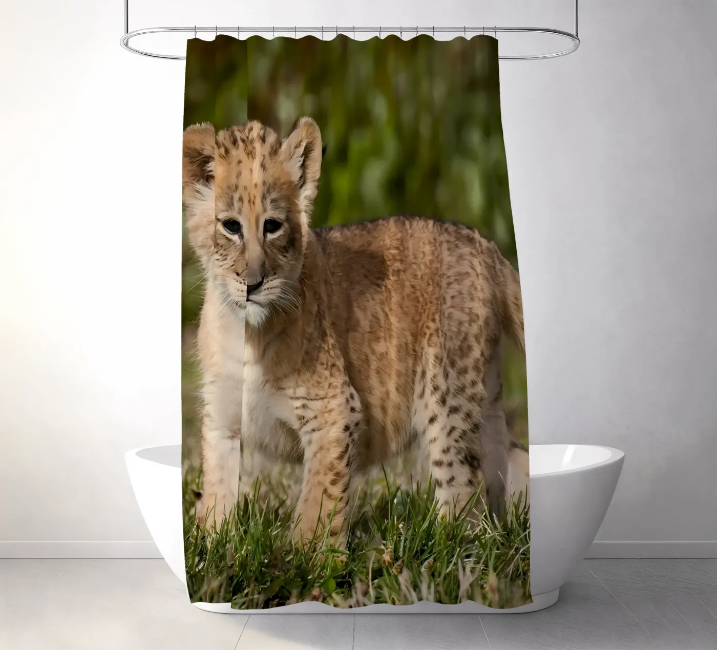 Tierposter 72 Duschvorhang von Korrie Lane