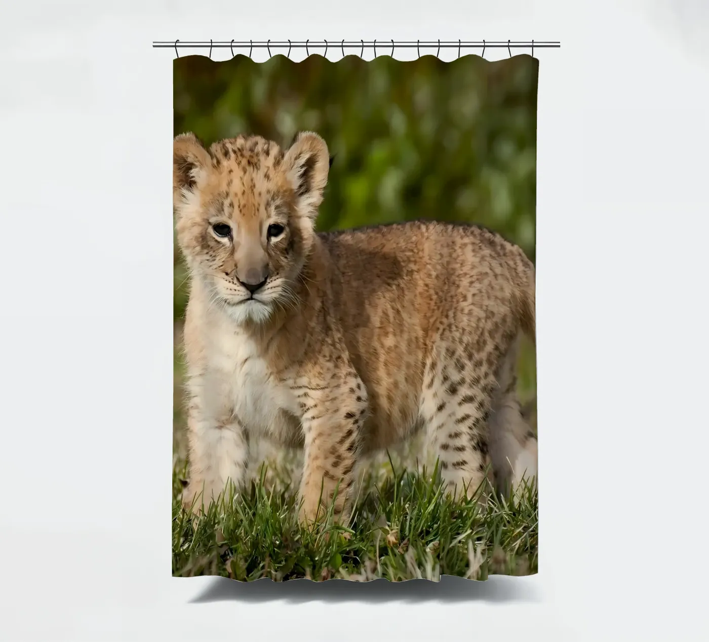 Tierposter 72 Duschvorhang von Korrie Lane