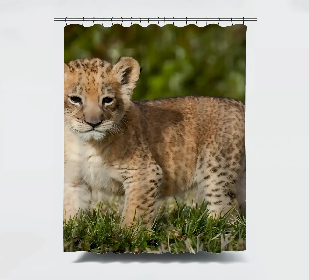 Tierposter 72 Duschvorhang von Korrie Lane