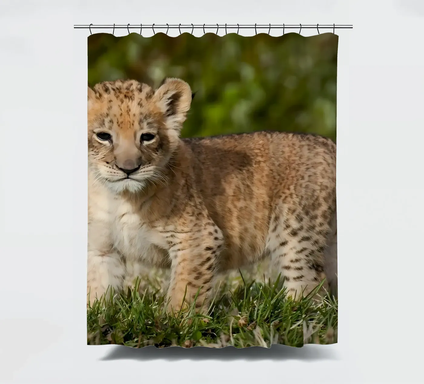 Tierposter 72 Duschvorhang von Korrie Lane