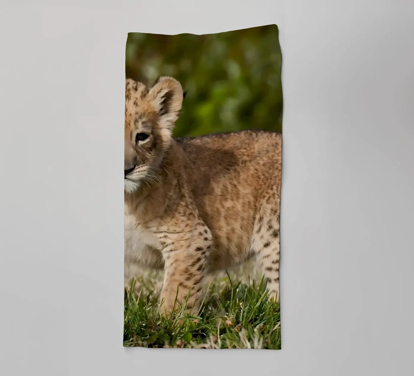 Animal poster 72 Handtuch von Korrie Lane