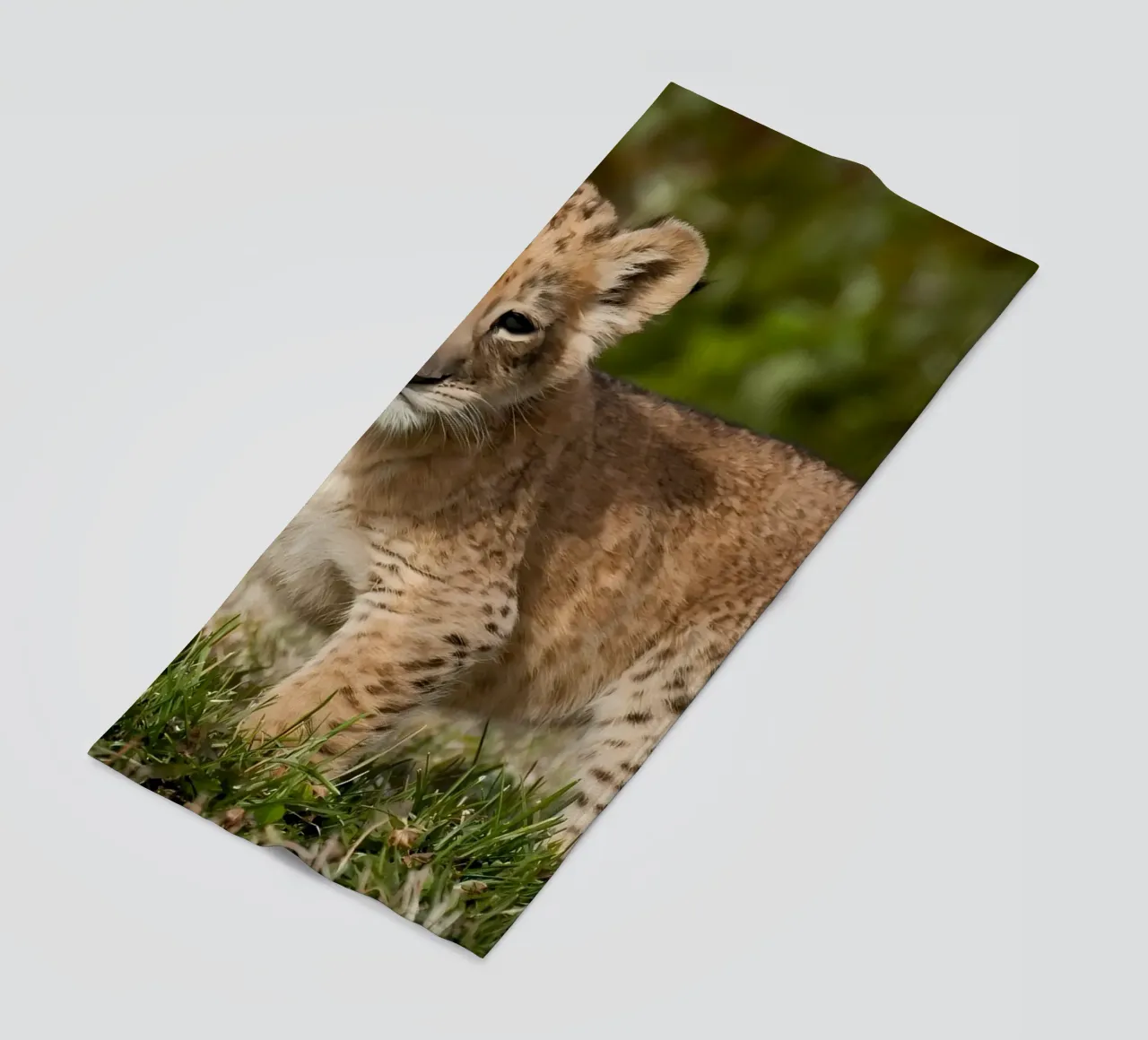Dierenposter 72 strandhanddoek van Korrie Lane